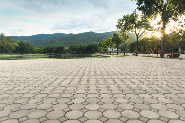 Best Driveway Paver Repair  in Durham, NC
